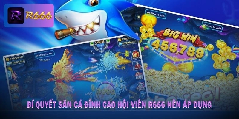  Bí quyết săn cá đỉnh cao hội viên nên áp dụng